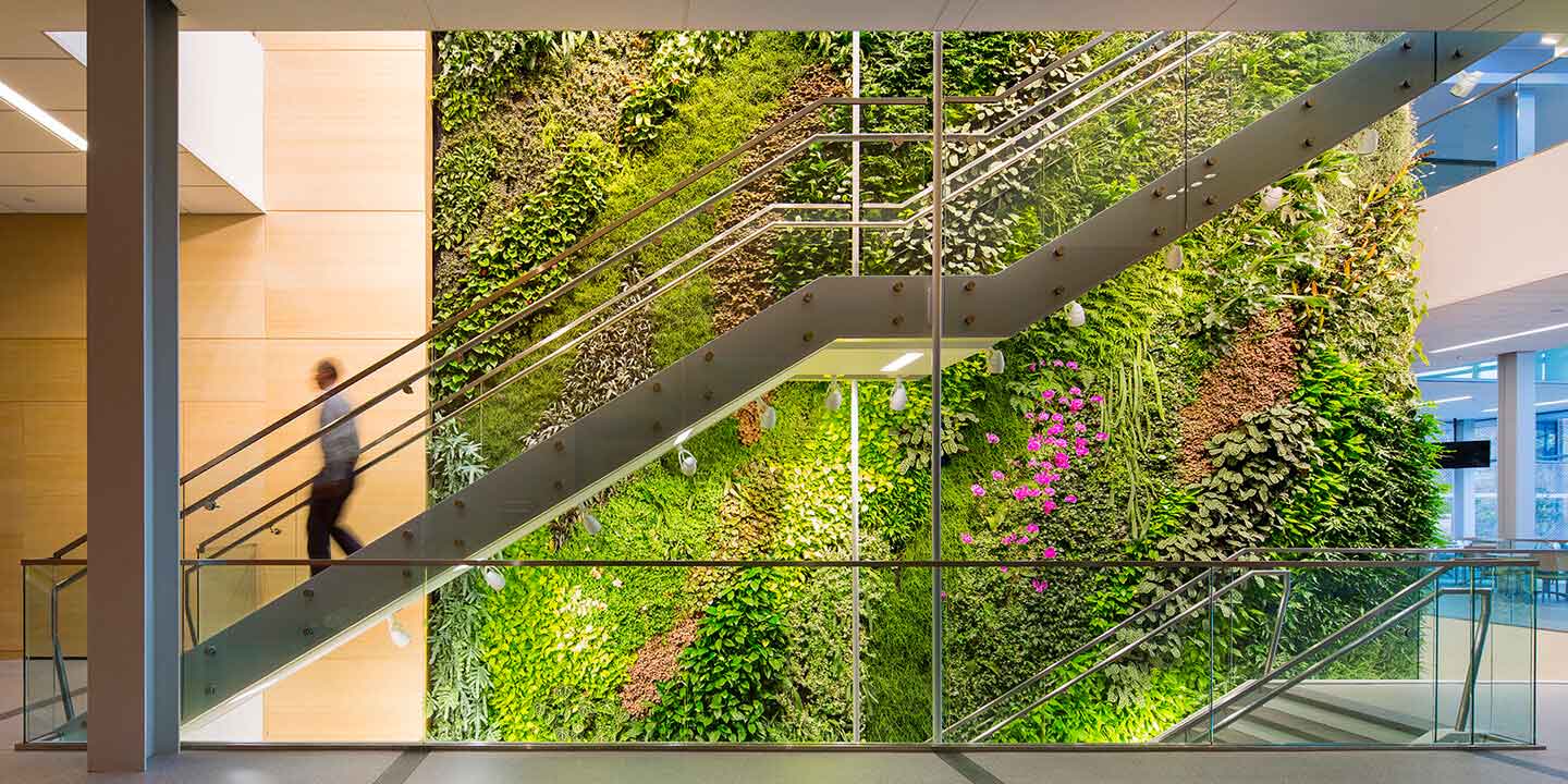 Green wall in dubai price