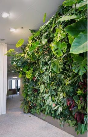 How do green walls work