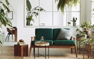 Benefits of interior plants