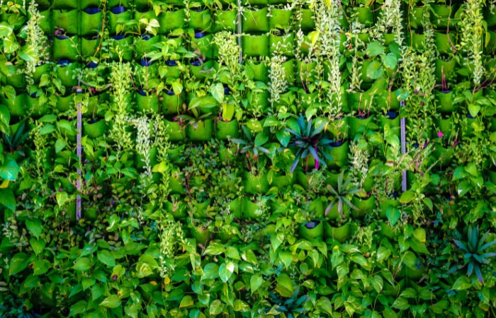 What is the purpose of the green wall
