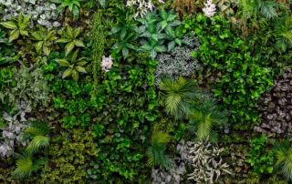 How do green walls work