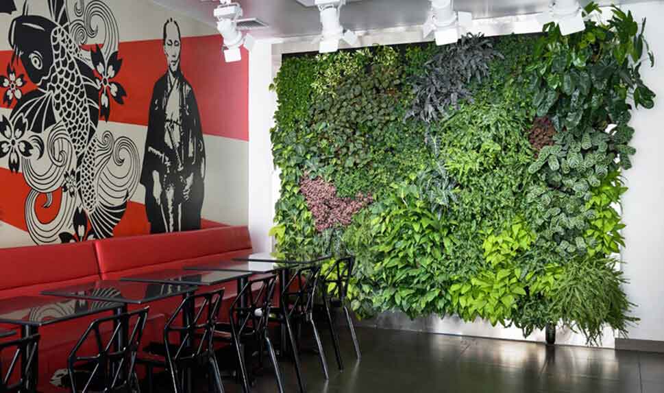 Importance of plants in interior design