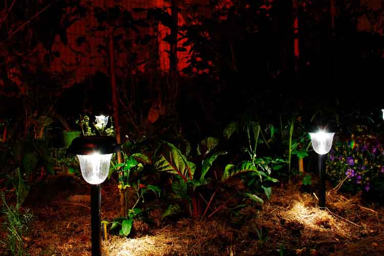 do solar lights work at night
