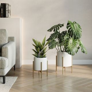 Indoor Plants Stand for Living Room