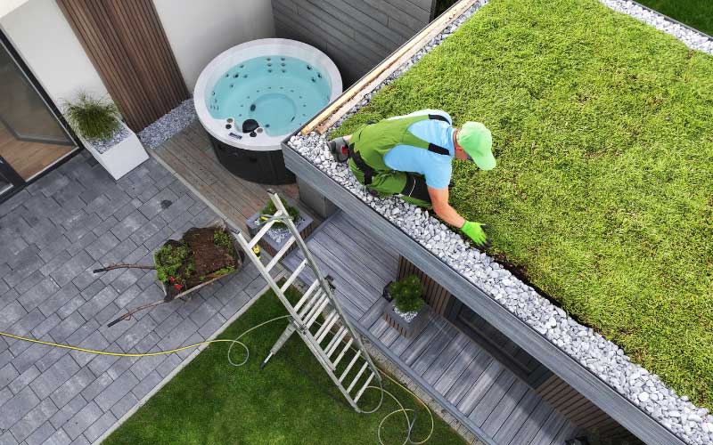 residential rooftop garden 